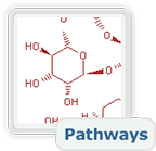 Pathways