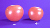 Transformation of small-fruited fw2.2 allele into large-fruited genetic background (left) results in reduced fruit size (right)