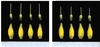 Transformation results with L02 gene. Left:  Styles from “short style” genotype T1 plants transformed with the L02 “long style” allele.  Right: Styles from non-transformed, “short style” genotype T1 plants derived from same hemizygous T0 individual.