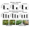 sltip2;2 overexpression effect on yield parameter