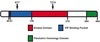 Pdk1 is a highly conserved Eukaryotic protein kinase that functions as a master regulator of many members of the AGC subfamily of protein kinases.  Pdk1 has been shown, in mammals, to regulate many basic cellular functions including cell growth, translation, glucose metabolism, and programmed cell death.  In plant systems Pdk1 has not been as well studied but has been shown to be involved in signaling regulating root hair development (Anthony et al. 2004. EMBO J. 23:572) , auxin transport (Zegzouti et al. 2006. PNAS. 103:6404), and programmed cell death (Devarenne et al. 2006. EMBO J. 25:255).  The figure depicts a schematic of the Pdk1 protein domains.  The pleckstrin homology domain is involved in binding phospholipids and the PIF binding pocket is used to bind substrates.  Lysine 77 in the kinase domain binds ATP and Thr 215 is phosphorylated for by intermolecular mechanisms for activation.