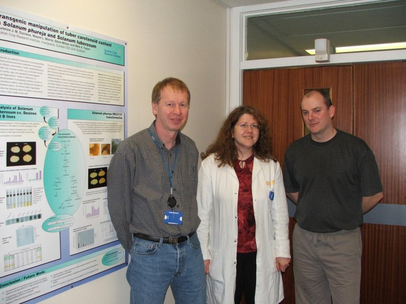 Taylor Lab Lab
